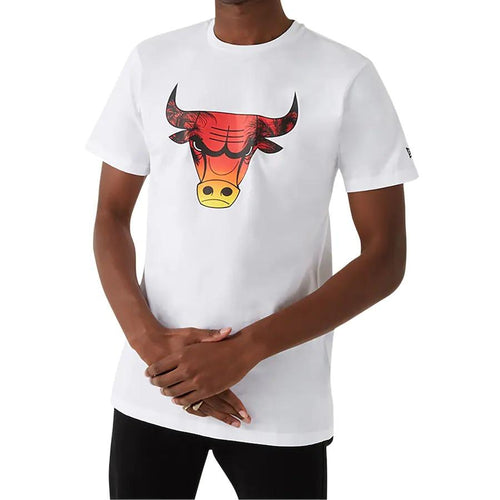 Chicago Bulls New Era Summer City Logo Infill T-Shirt - Mens